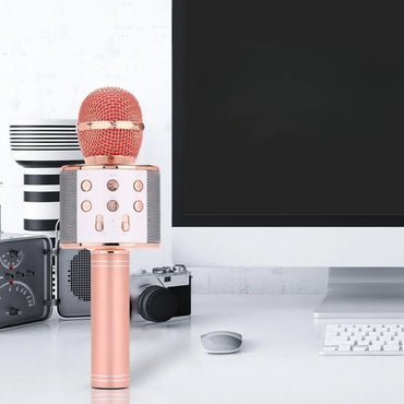 Wireless Karaoke Microphone with Speaker (WS-858)