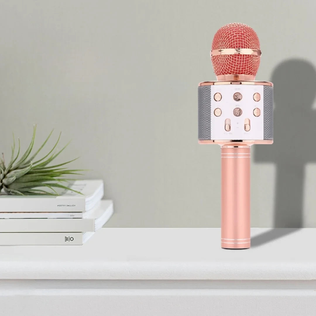 Wireless Karaoke Microphone with Speaker (WS-858)