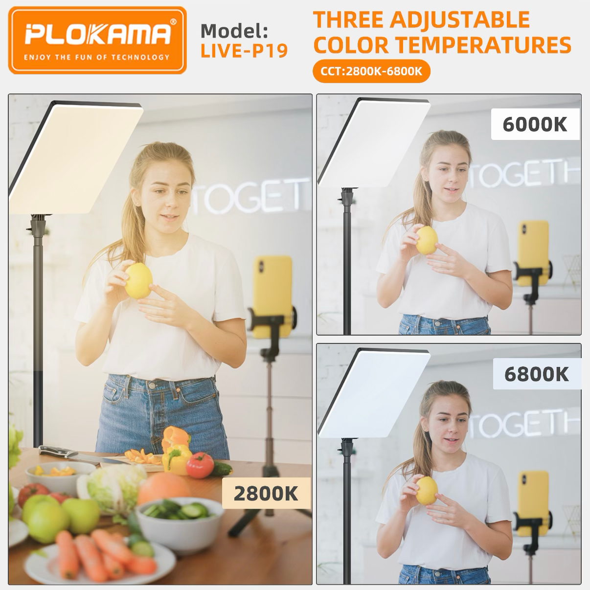 PLOKAMA LIVE P19 LED Fill Light Panel Soft Studio Video Light