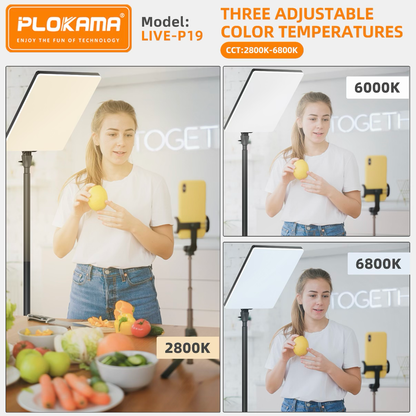 PLOKAMA LIVE P19 LED Fill Light Panel Soft Studio Video Light