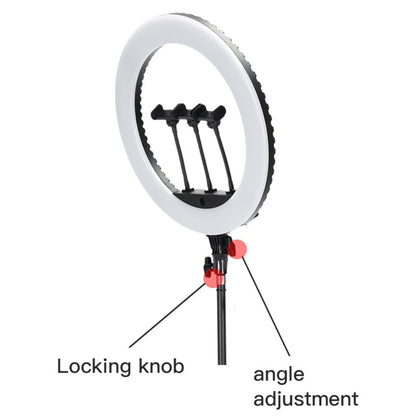 Jmary FM-18R 18-Inch Selfie Ring Light with Remote & 3 Phone Holders