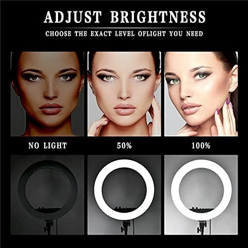 RL-21 LED Ring Light – Soft Light, High CRI & Safe Touch