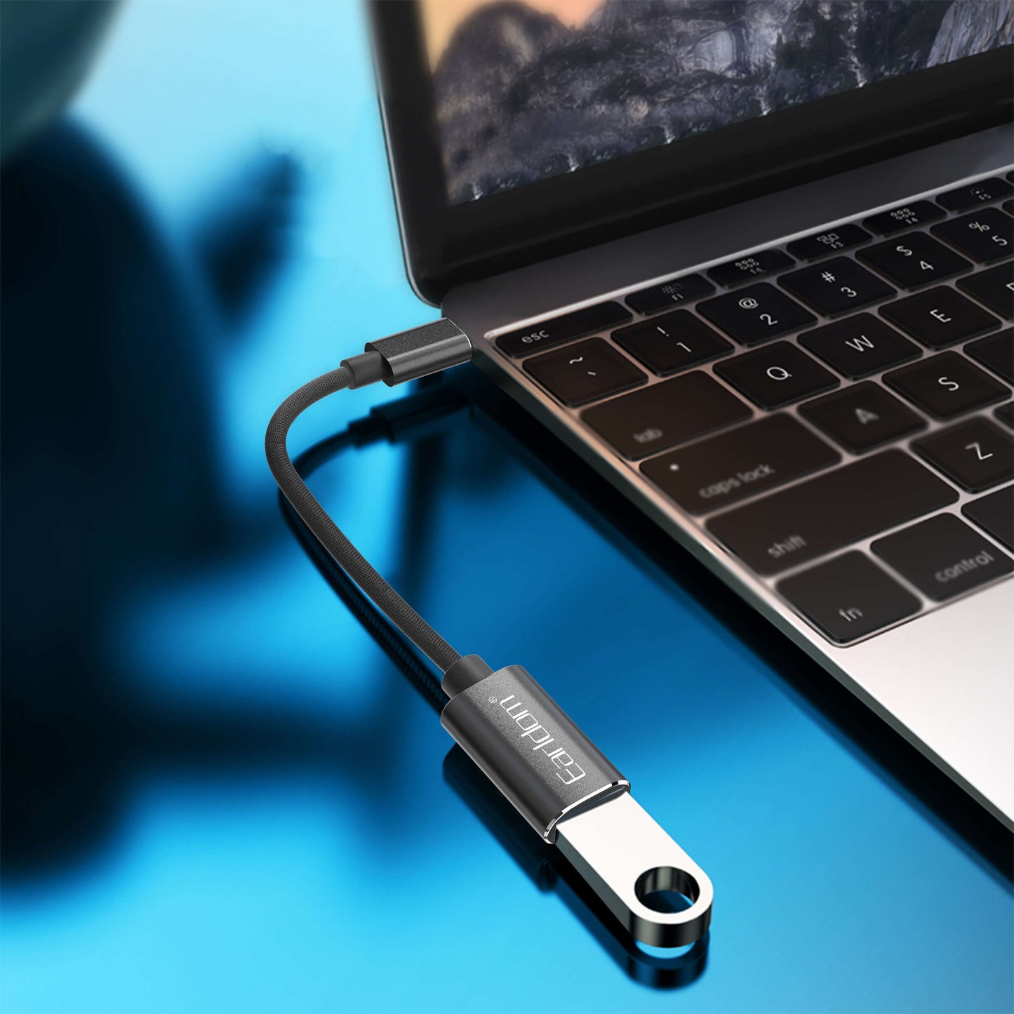 Earldom USB-C OTG Adapter with Cable, ET-OT85